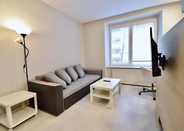 Apartament Comfortable In