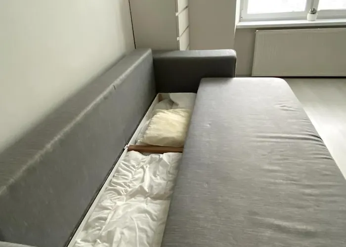Comfortable In Apartament