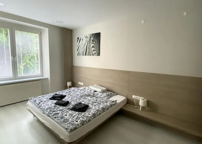 Apartament Comfortable In